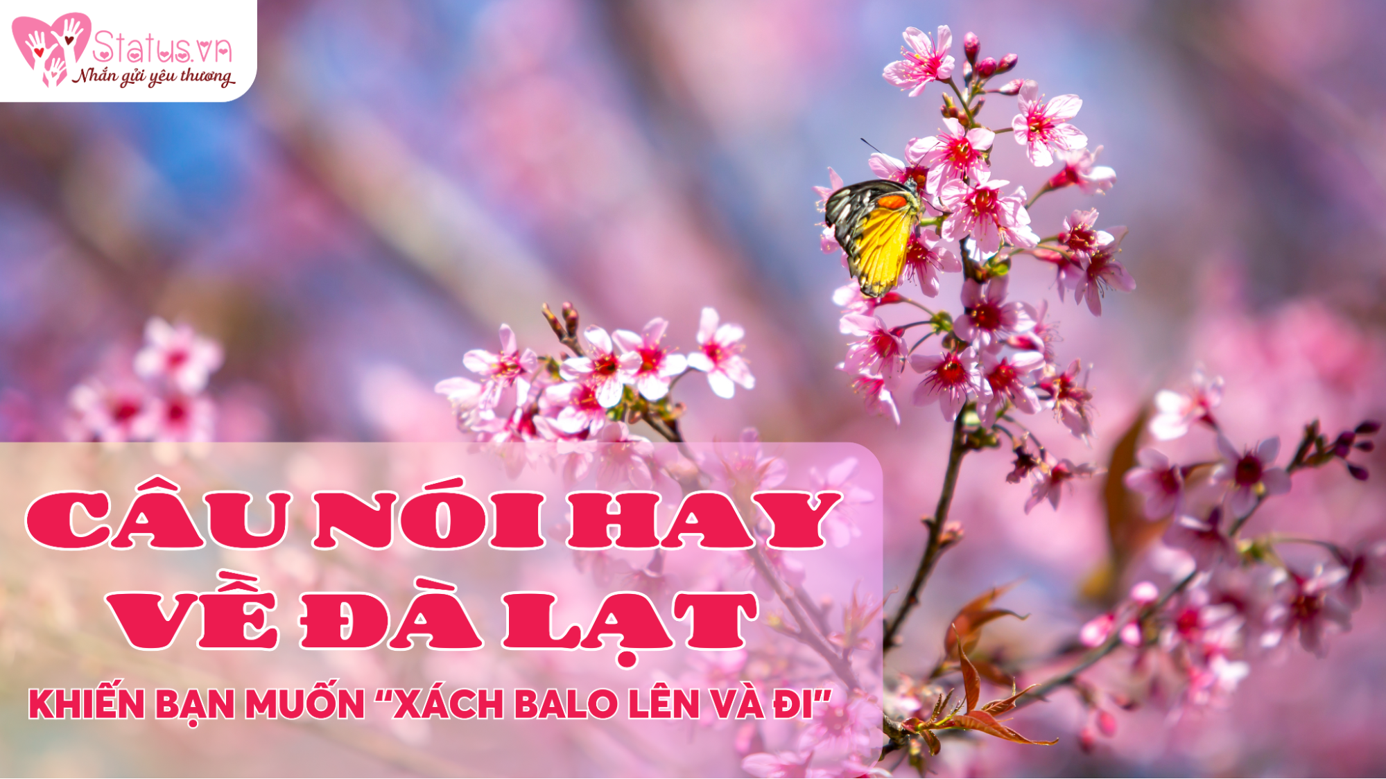 câu nói hay về đà lạt